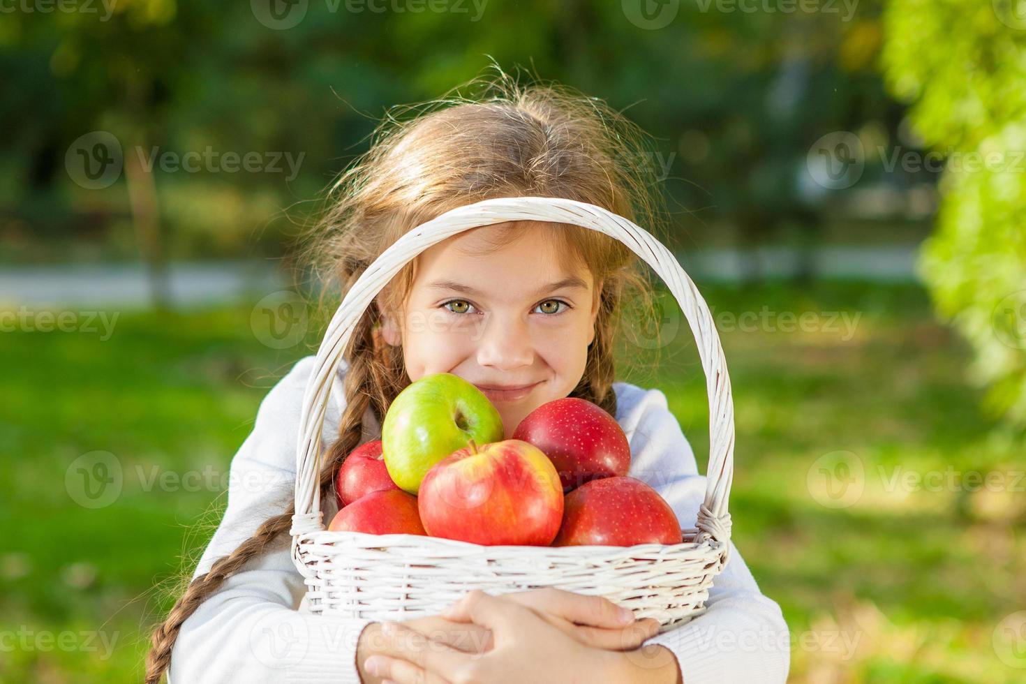 Little girl holding a basket of apples photo