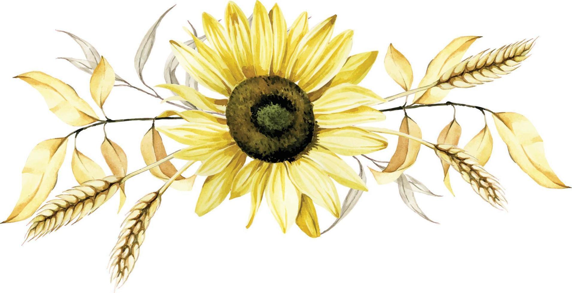 dibujo de acuarela. composición otoñal de flores de girasol y hojas de otoño, espigas de trigo. aislado sobre fondo blanco ramo, sobre el tema de la cosecha, otoño, día de acción de gracias. vector