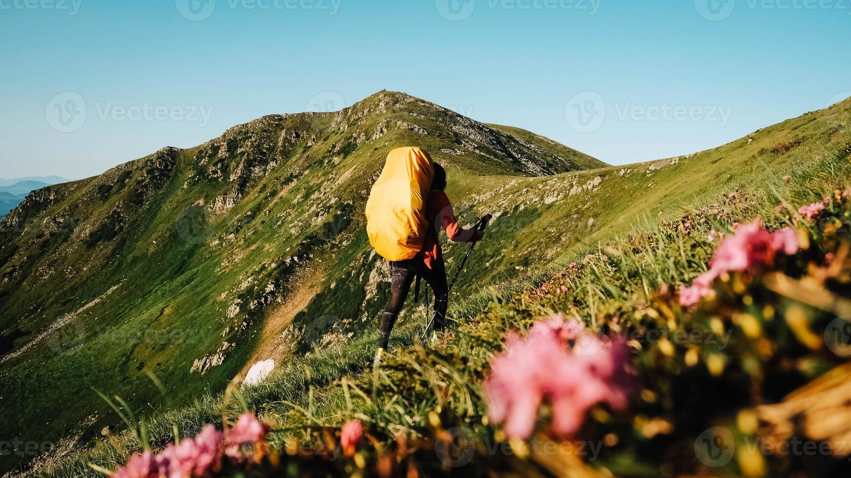 Woman tourist is walking on a hiking trail with a backpack against background of green mountains and sky photo