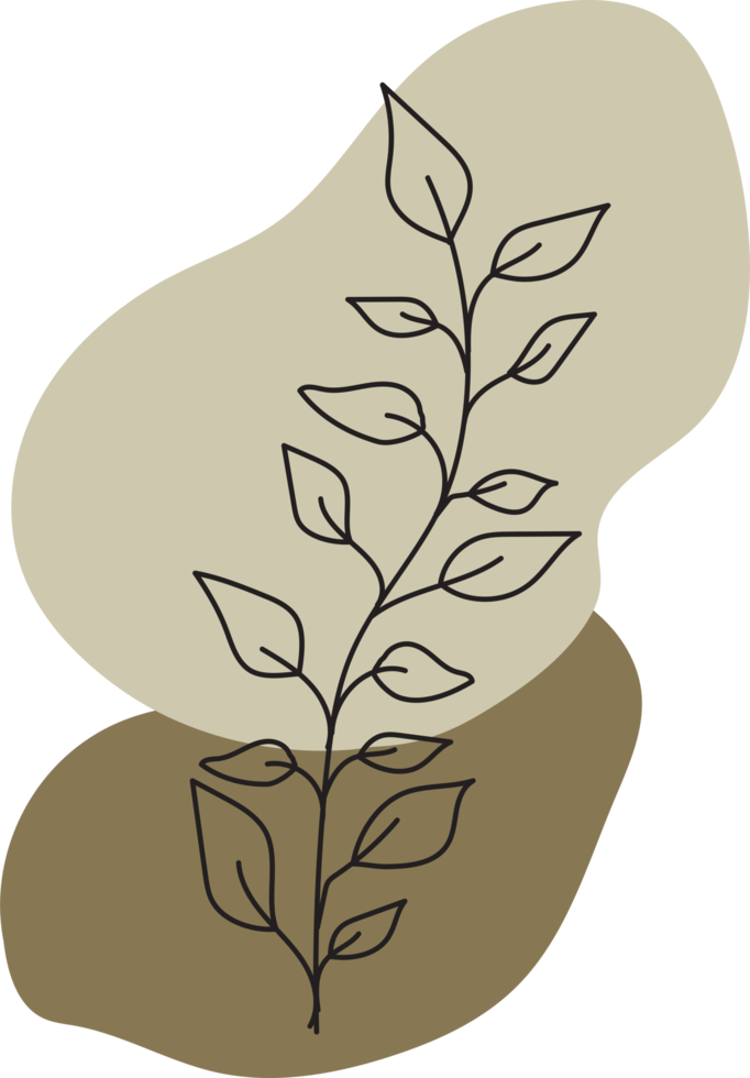 Botanical floral Hand drawn with organic blob shape, leaf and branch element for design png