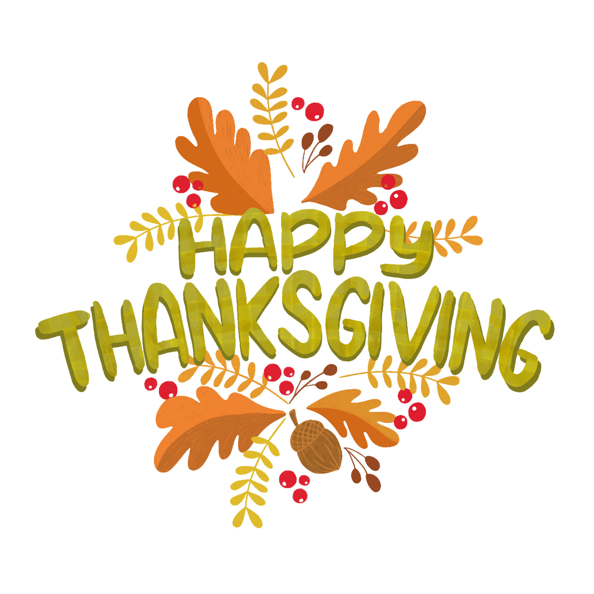 5k thanksgiving minneapolis