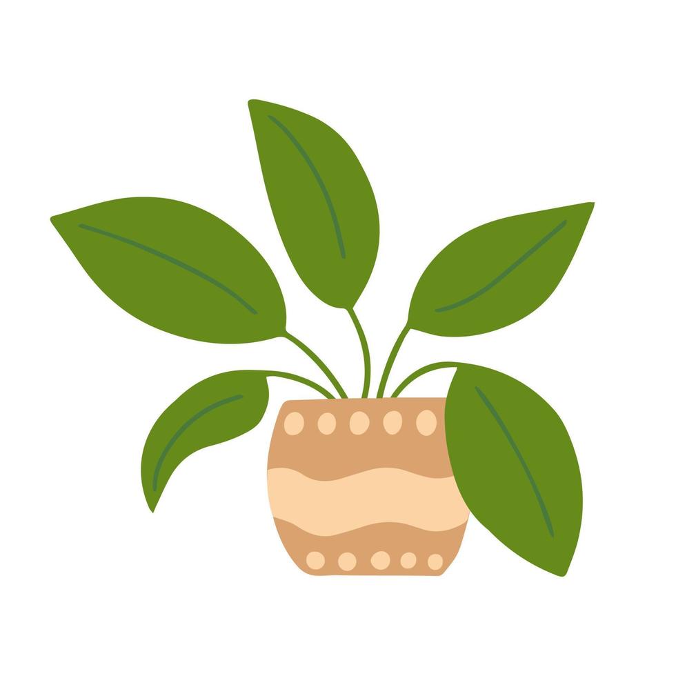 Vector flat style home plant in pot. Vector houseplant with leaves in ceramic pot isolated