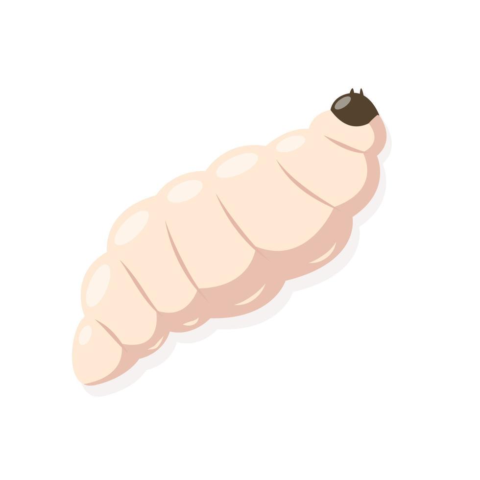 Maggot or larva isolated on white background vector
