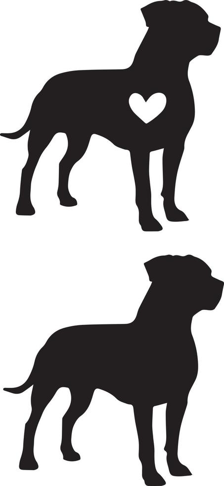 American Pitbull 5 vector