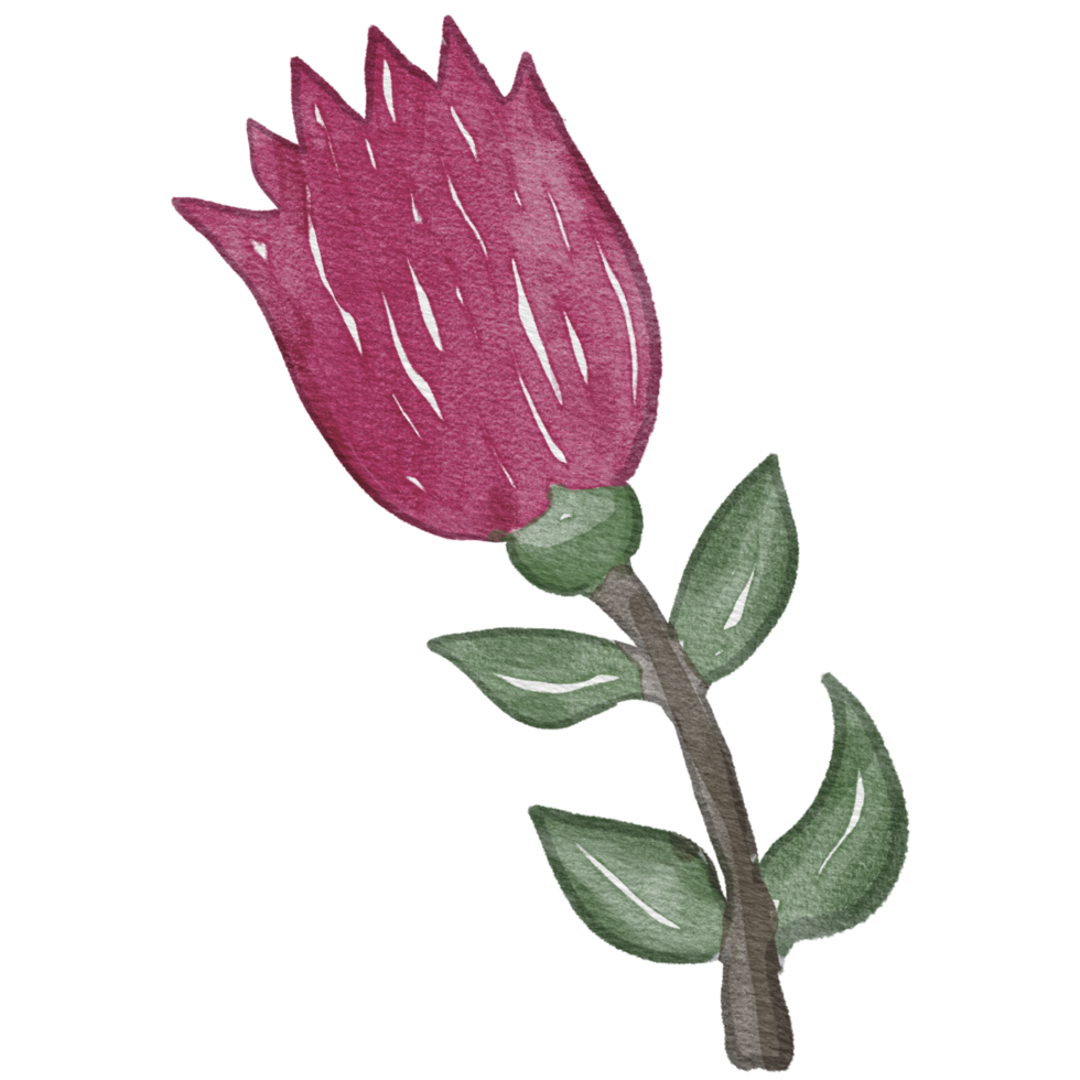 flower Watercolor Element Clipart png