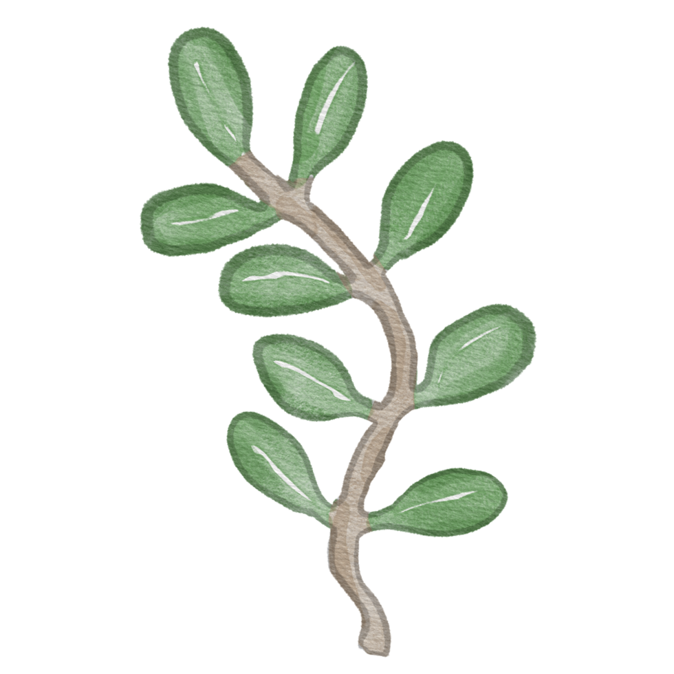 blomma akvarell element clipart png