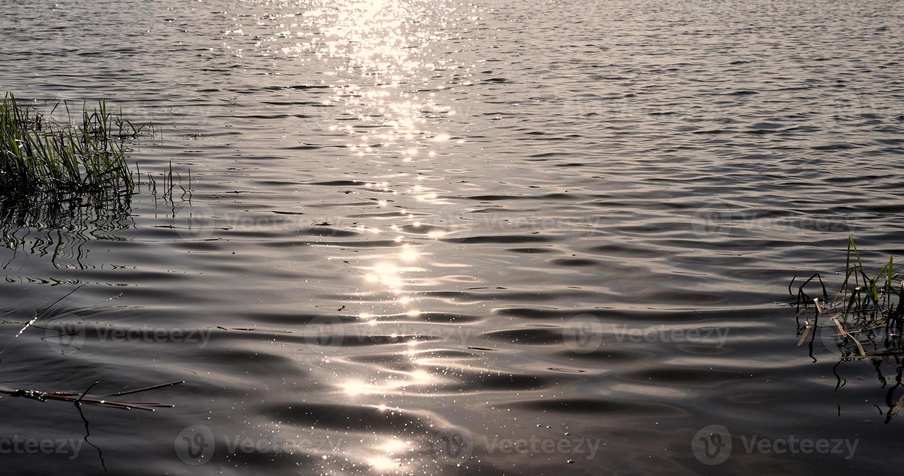 resplandor de la luz del sol en la superficie del agua del lago con pequeñas olas foto