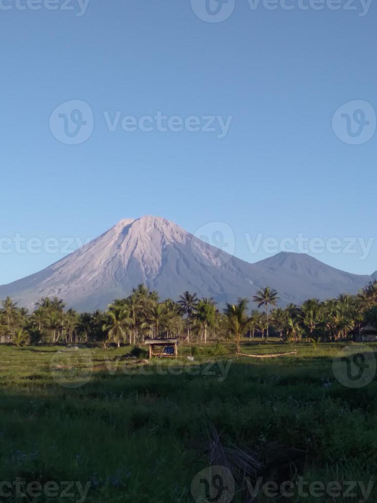 beautiful natural scenery on a sunny morning photo