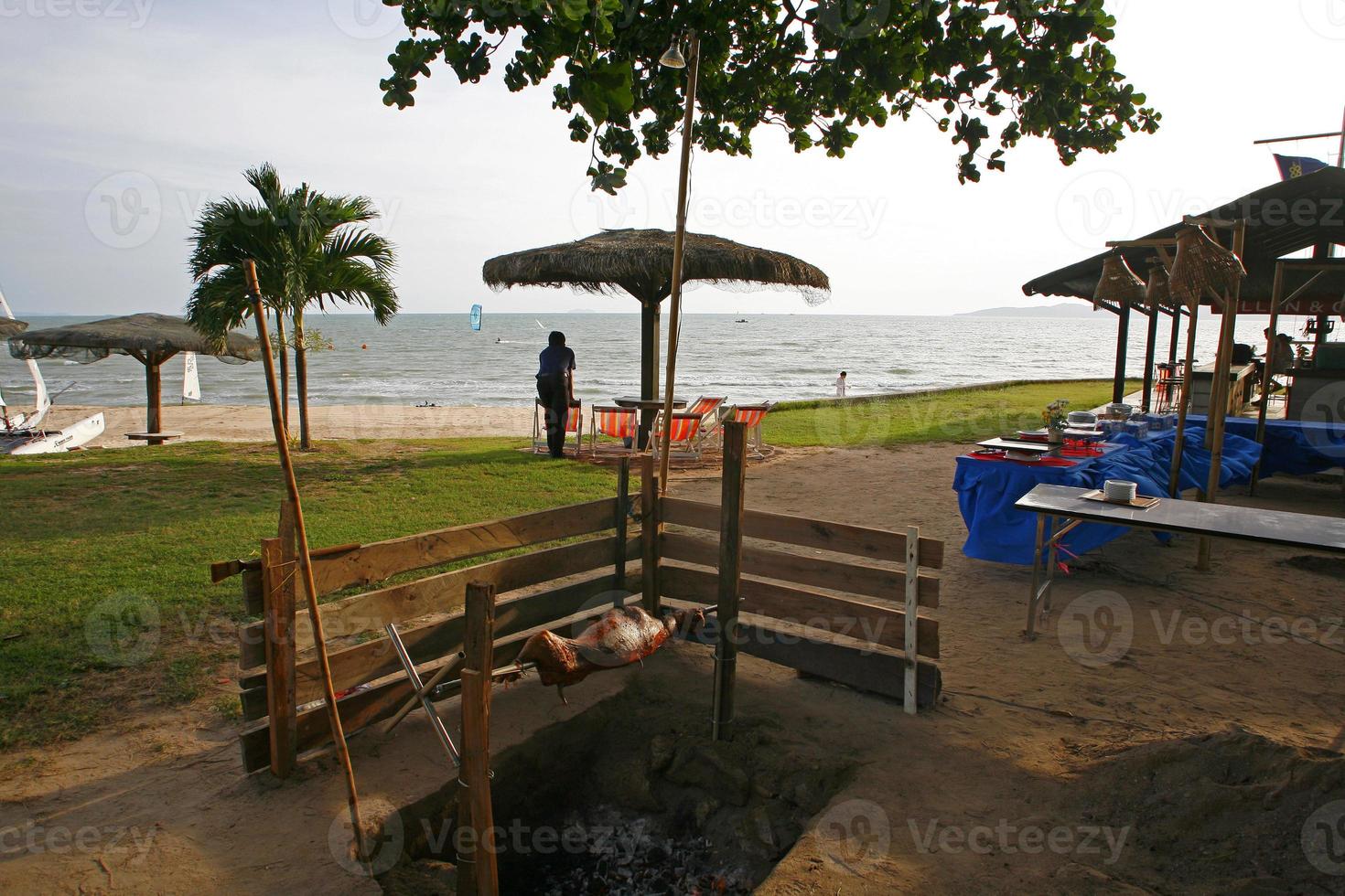 Asian Barbecue Pork-Pattaya photo