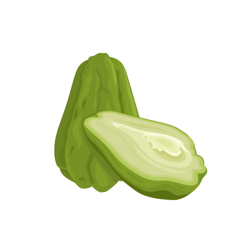 Vector illustration of whole and half chayote, scientific name Sechium edule, isolated on white background.