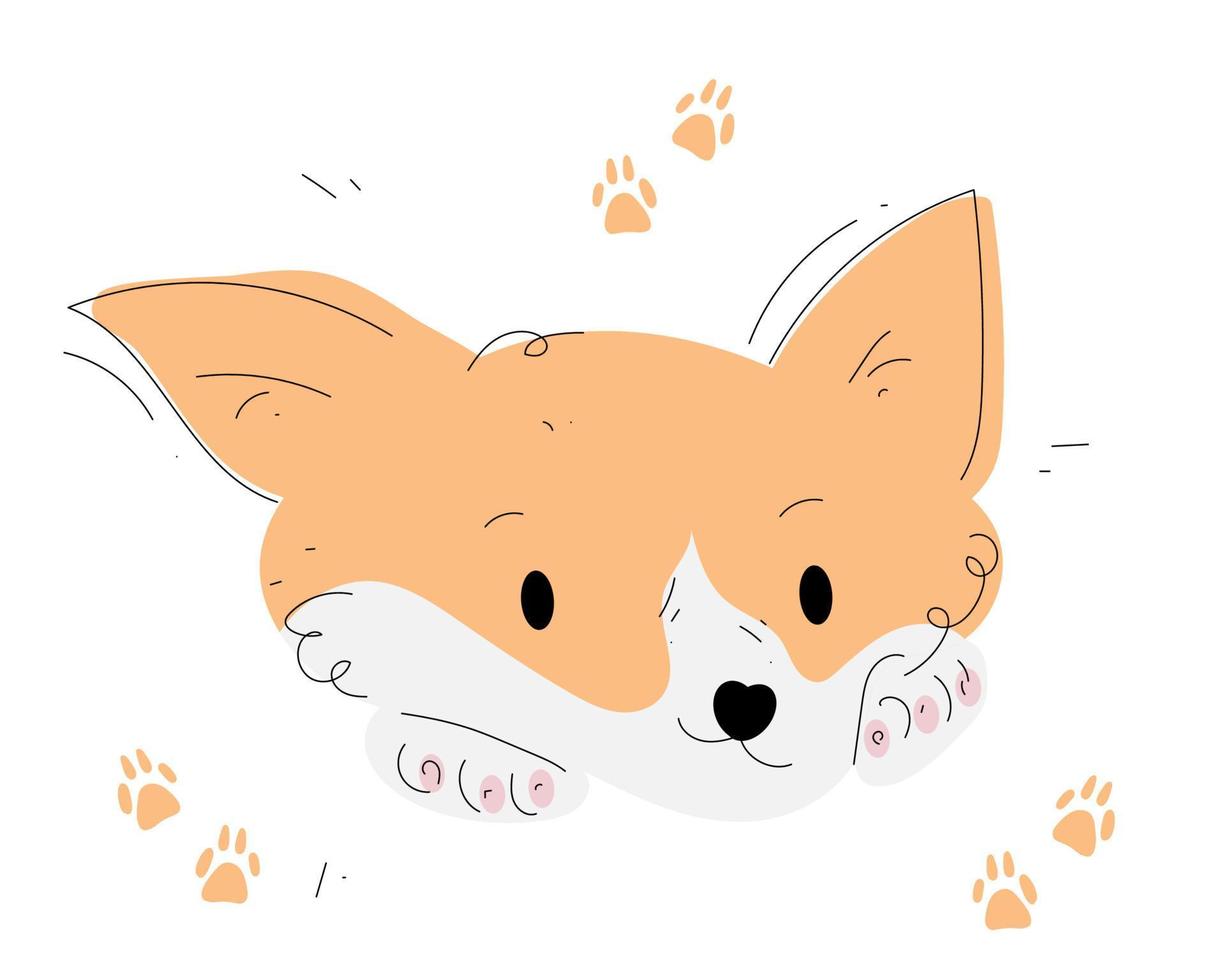 Hand drawn corgi illustration in doodle style vector