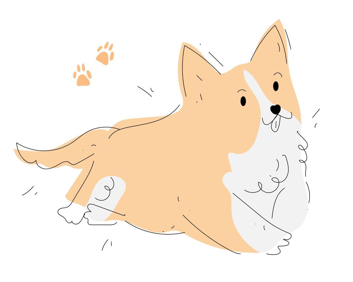 Hand drawn corgi illustration in doodle style vector