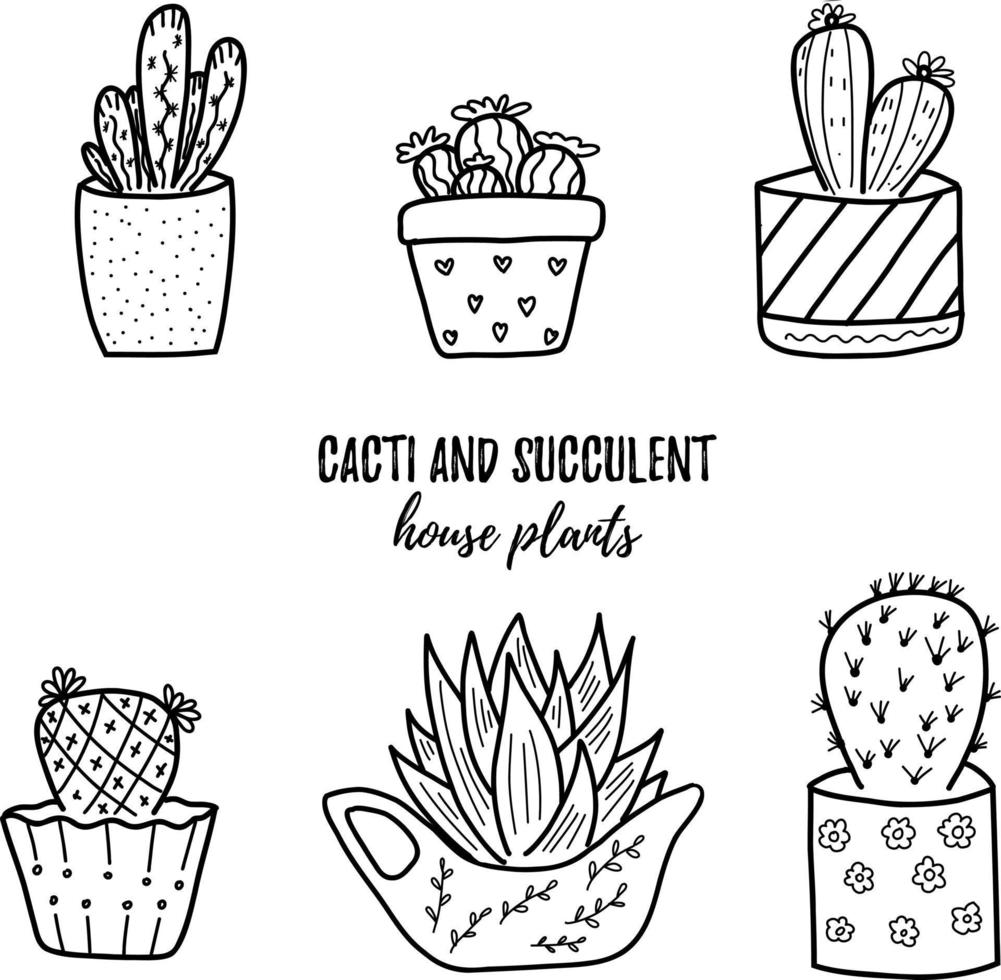 Vector doodle cactus and succulent collection of illustration. Black line art house plants in a pots set. Great for different kind of designs and backgrounds