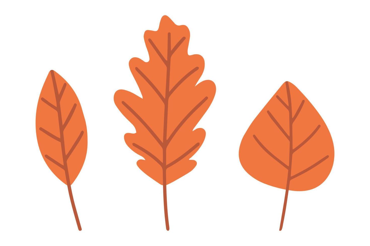 conjunto de hojas de otoño aislado en un fondo blanco. estilo plano de dibujos animados simples, ilustración vectorial. vector