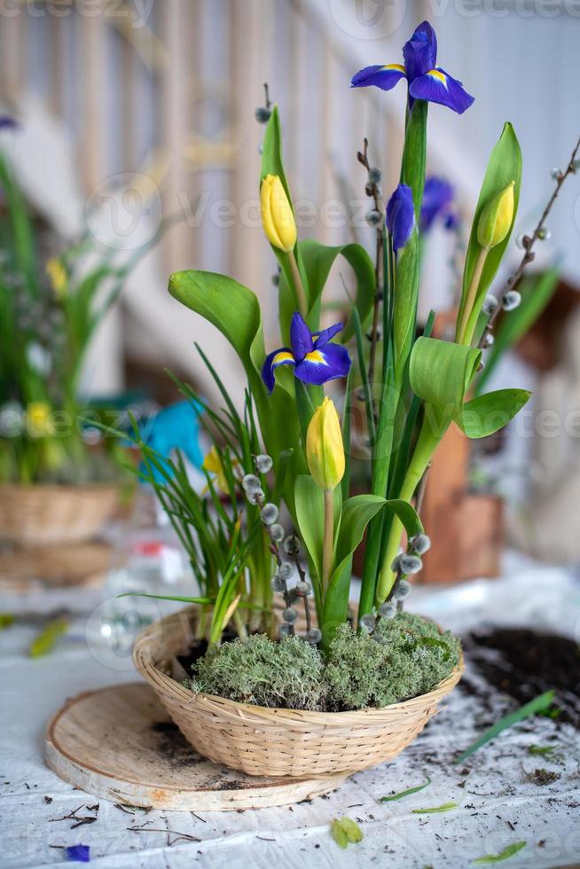 Elegant spring, Easter flower arrangement of daffodils, placed on the table in daylight at home. photo