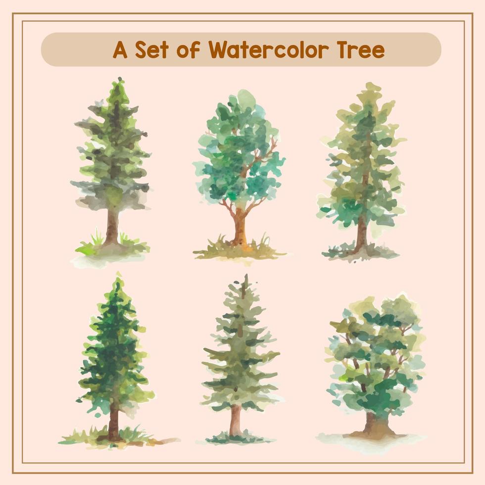 a set of of watercolor tree illustration vector