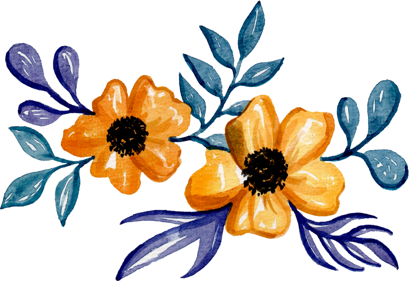 handgemaltes aquarellblumenelement für illustrationssatzsammlung png