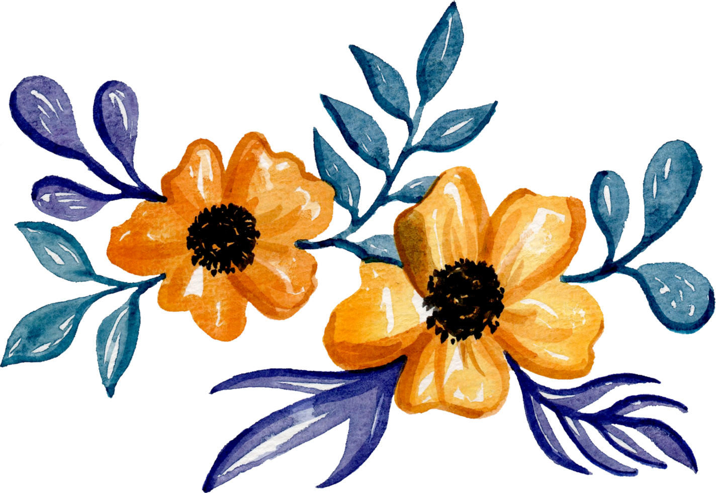 Hand painted watercolor flower element for illustration set collection png