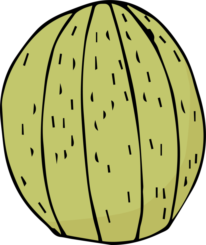 garabato de dibujos animados de cactus png