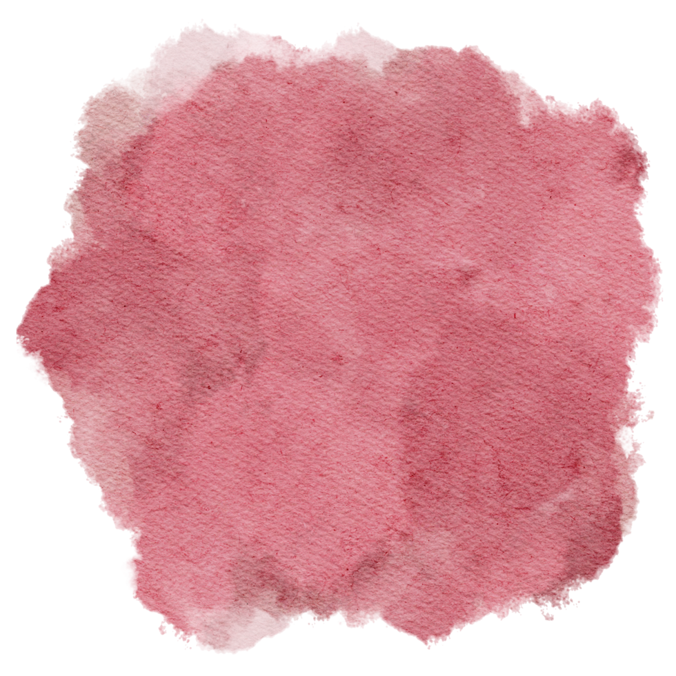 rose nature couleur aquarelle peinture tache fond cercle png