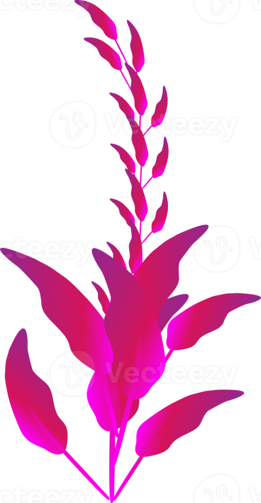 piante di fiori viola ornato natura foglia botanica sfondi decorativi illustrazione png