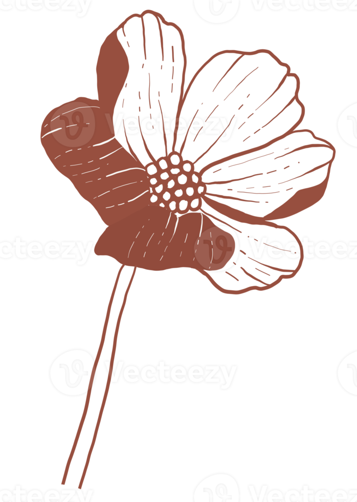 Flowers. Hand-drawn illustrations png