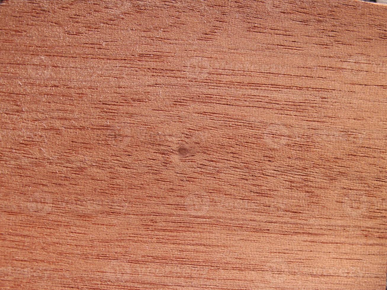 Tree structure background photo