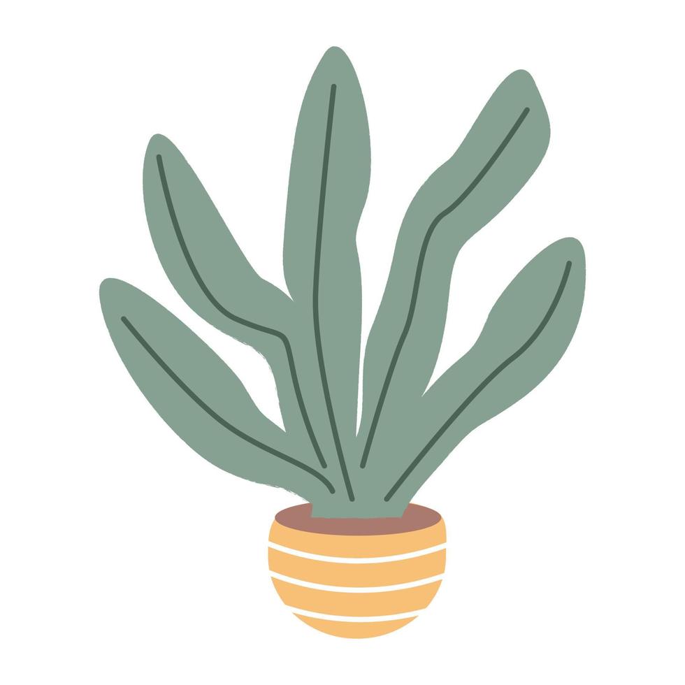 House plant in pot vase. Scandinavian cozy home decor. vector