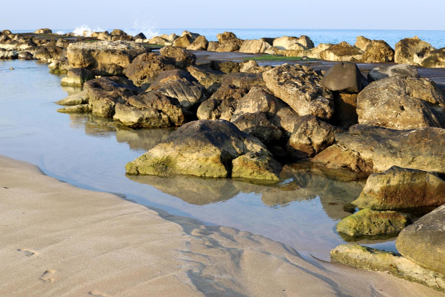 nahariya israel 15 de mayo de 2020. piedras y conchas en un parque de la ciudad en la costa