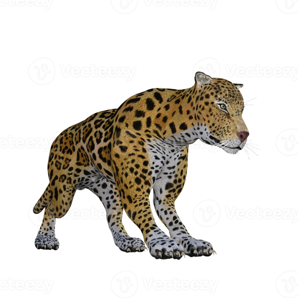 Jaguar 3d pose illustration model png