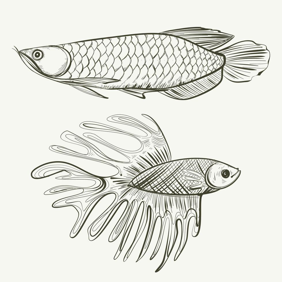bosquejo abstracto de peces ornamentales vector