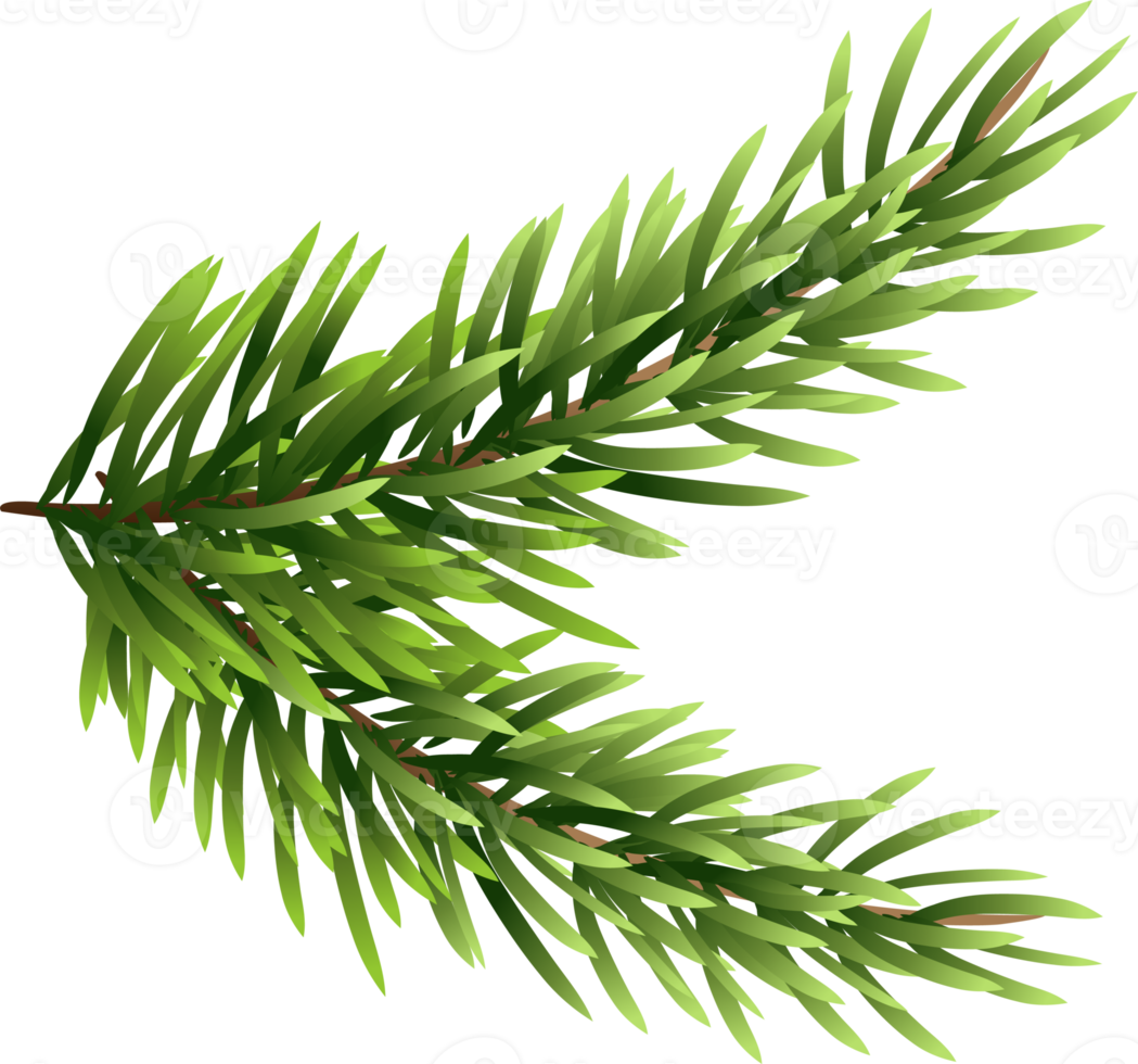 Christmas Garland Clipart png