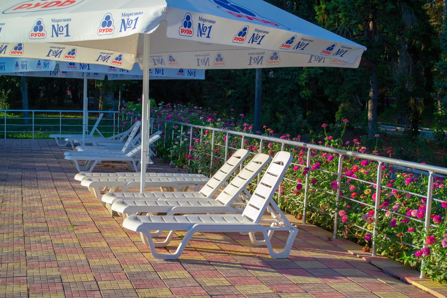 Primorsk, Ukraine. Poolside. Sunbeds near swimming pool surrounded by pine trees photo