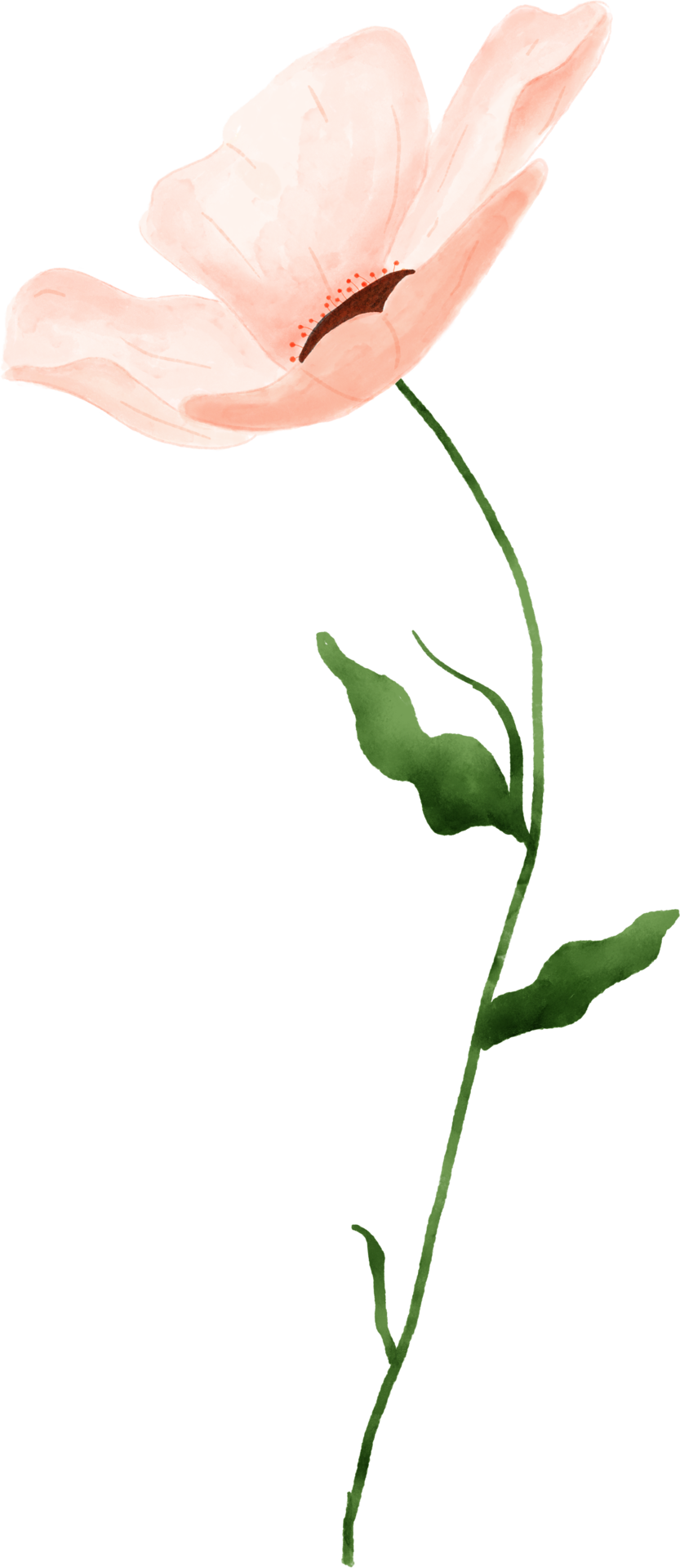 Watercolor Single Flower