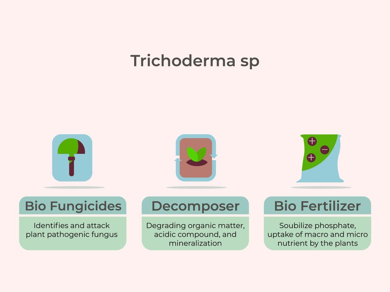 papel de trcichoderma sp como biofungicidas, descomponedores y biofertilizantes vector