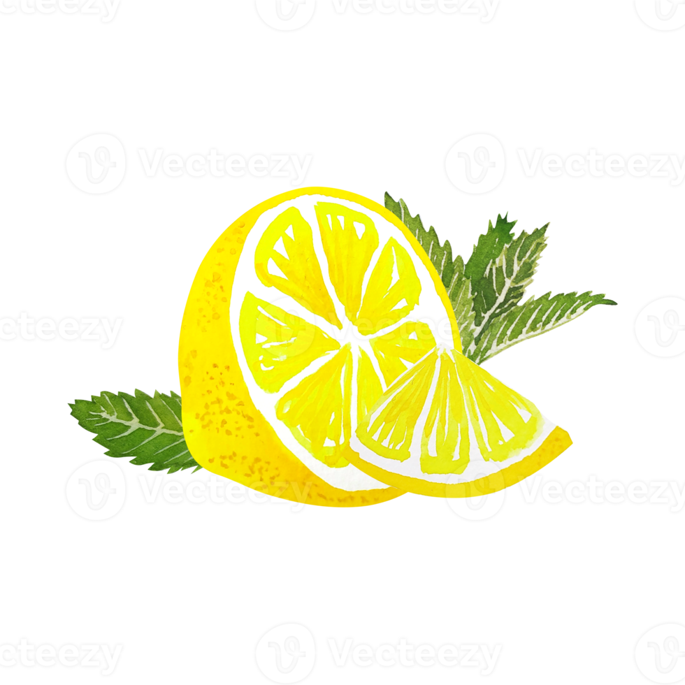 Watercolor citrus lemon slice png