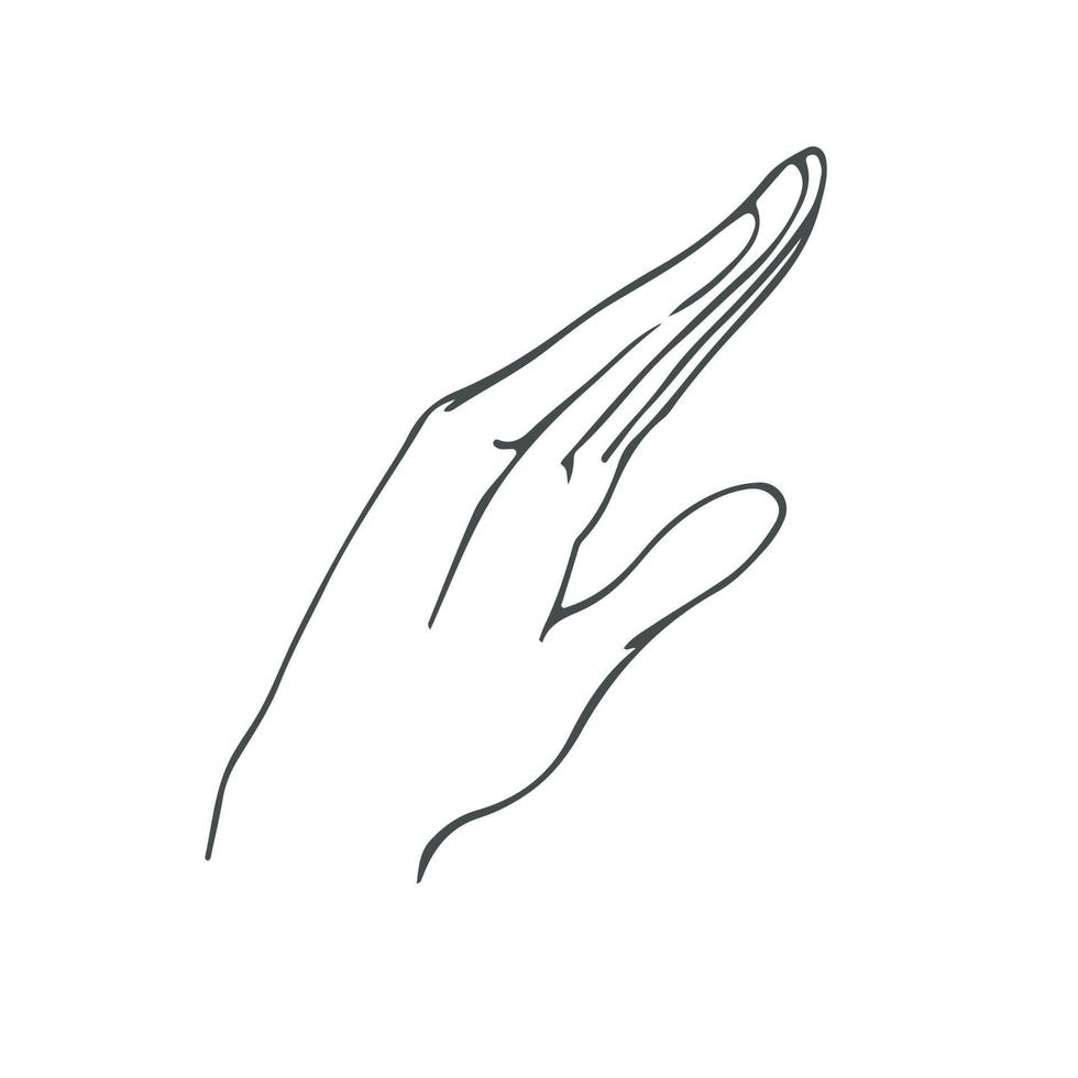 Sketch, Shilouette, Hand drawn  oneline continuous single line art vector
