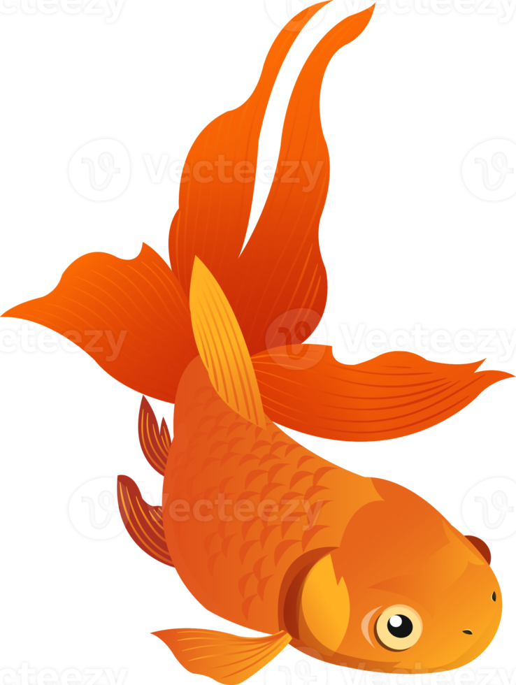 GoldFish Cartoon Character png