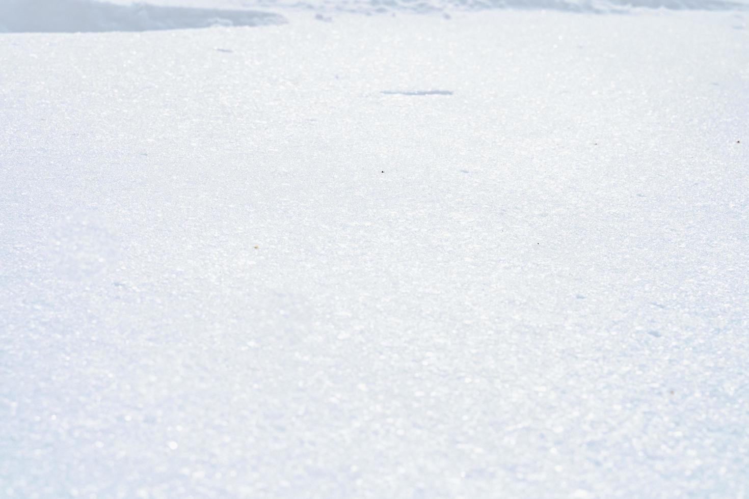 Winter background with snow. Christmas and New Year holidays background photo