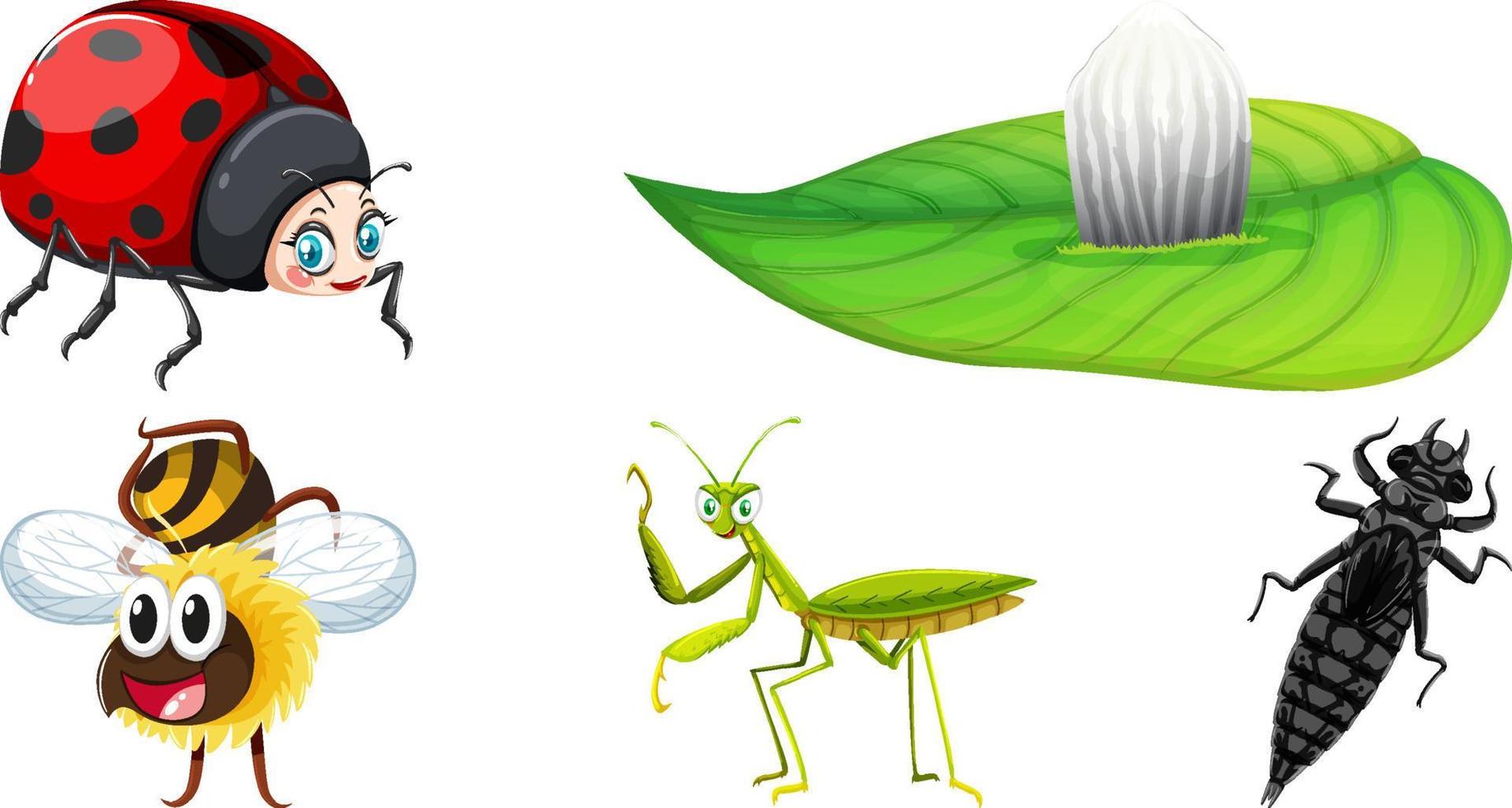 Collection of different insects vector