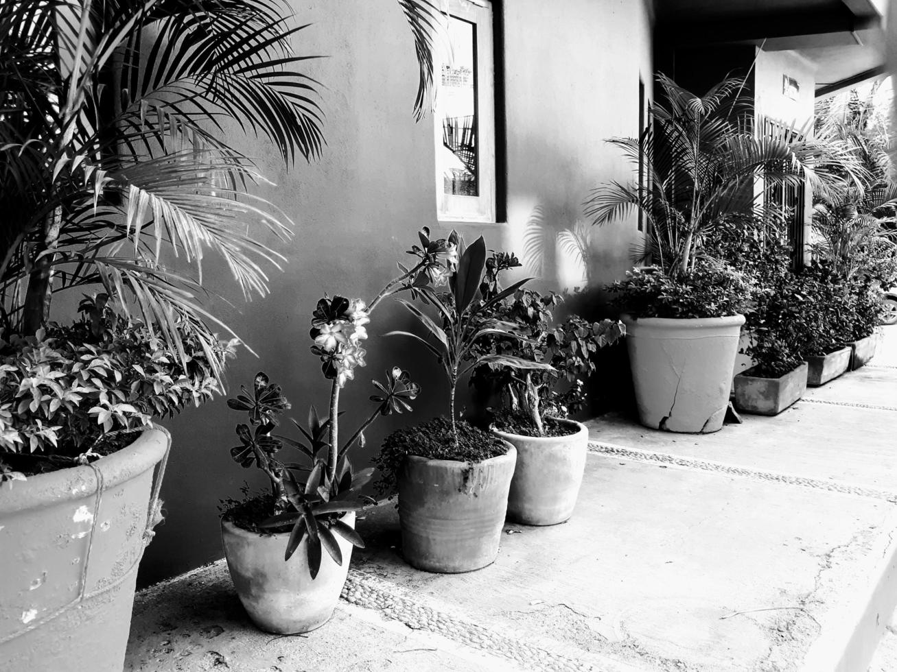Tropical Streetscape Scenes photo
