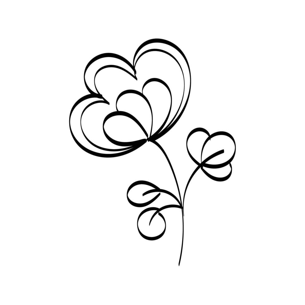 Floral Art.  flower drawing with line-art. vector