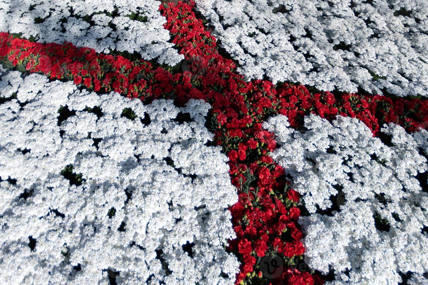 saint george flag red cross on white made of flowers photo