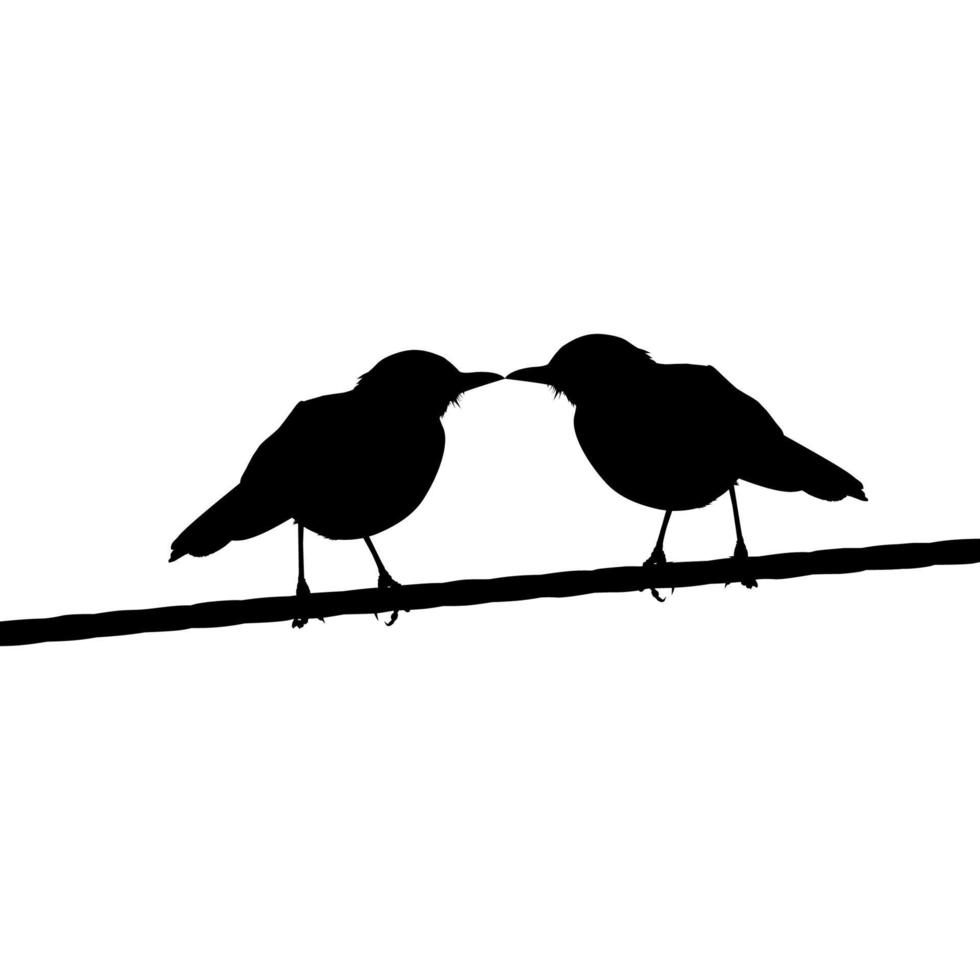 Silhouette of the Standing Pair of the Bird on the Electrical Wire. Vector Illustration