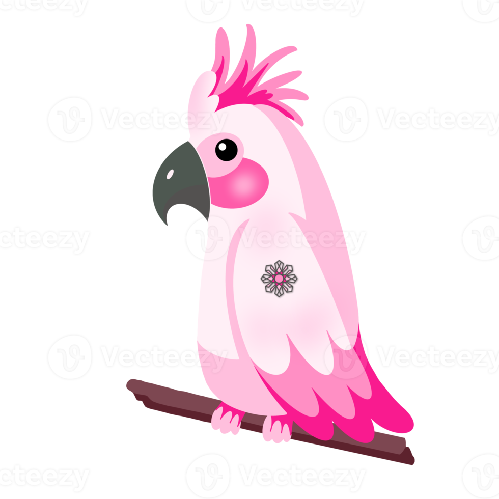 The pink parrot png