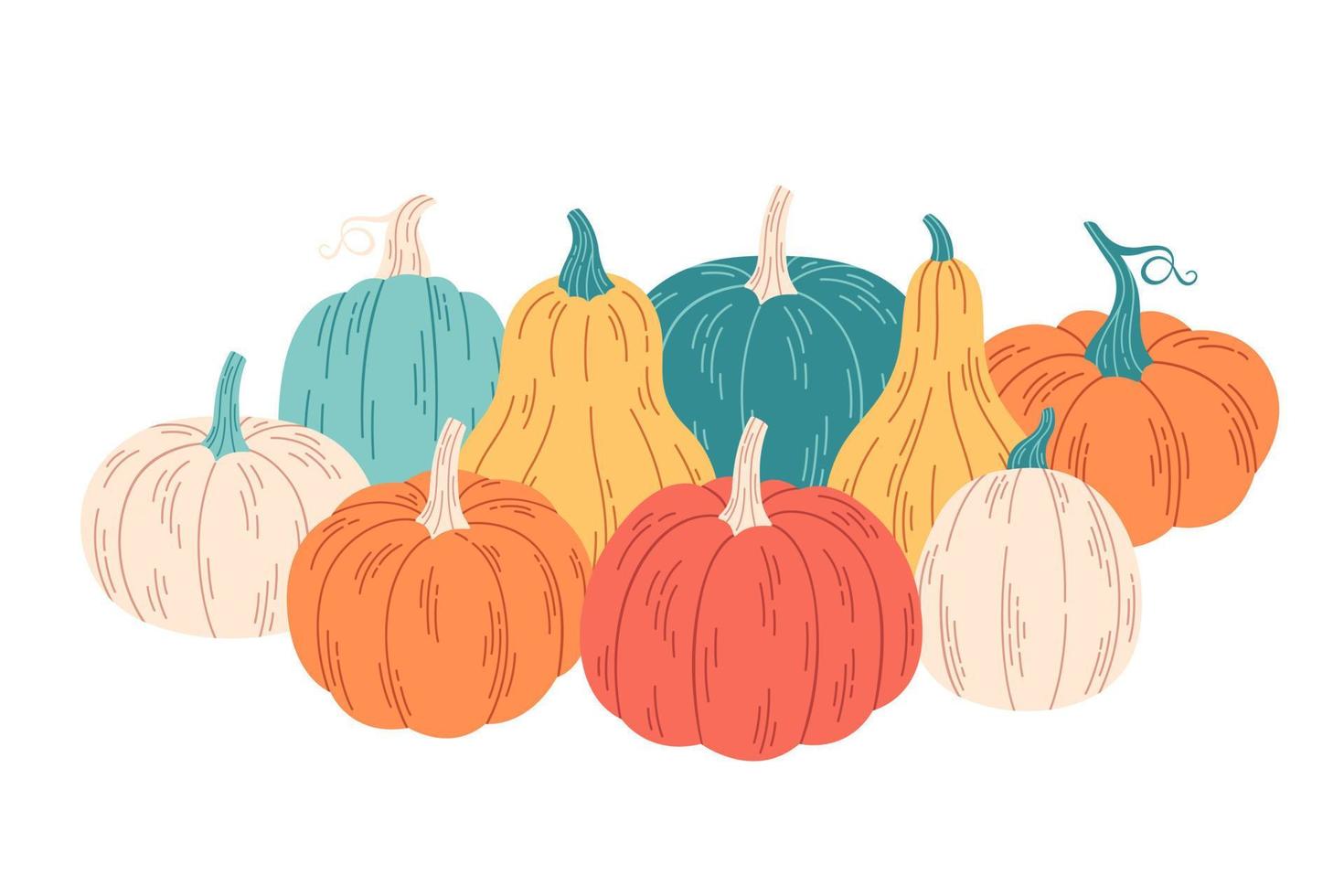 Pumpkins of different colors and shapes. Hello autumn, autumn harvest. vector
