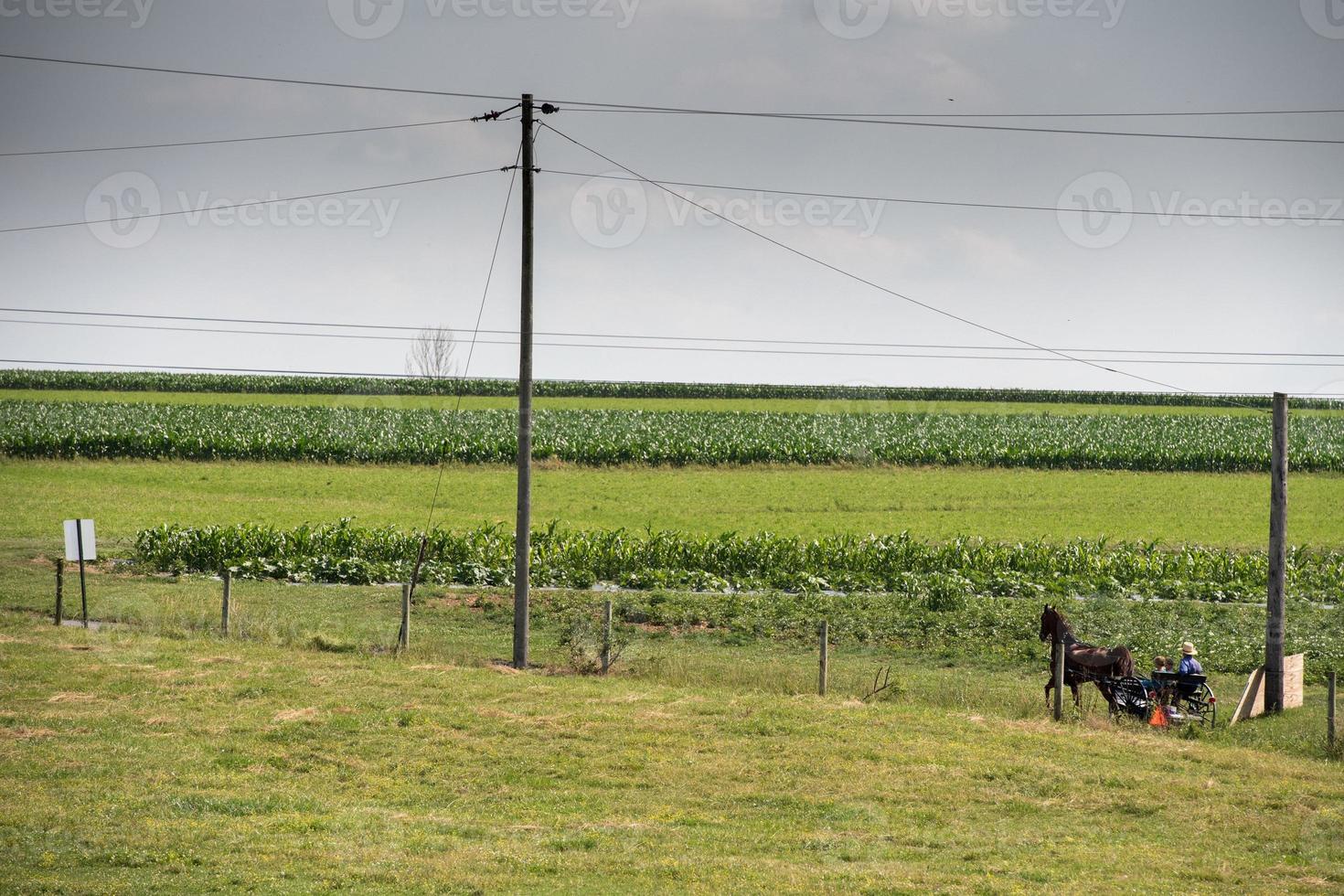 vagón buggy en lancaster pennsylvania país amish foto