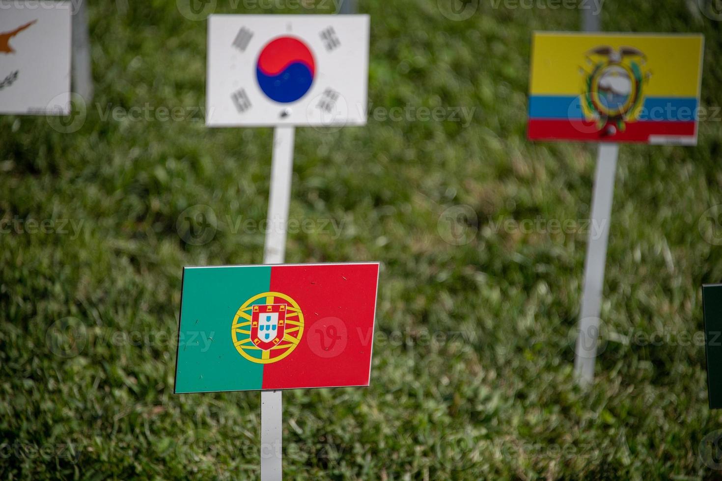 Portugal and united nations many flags on grass photo