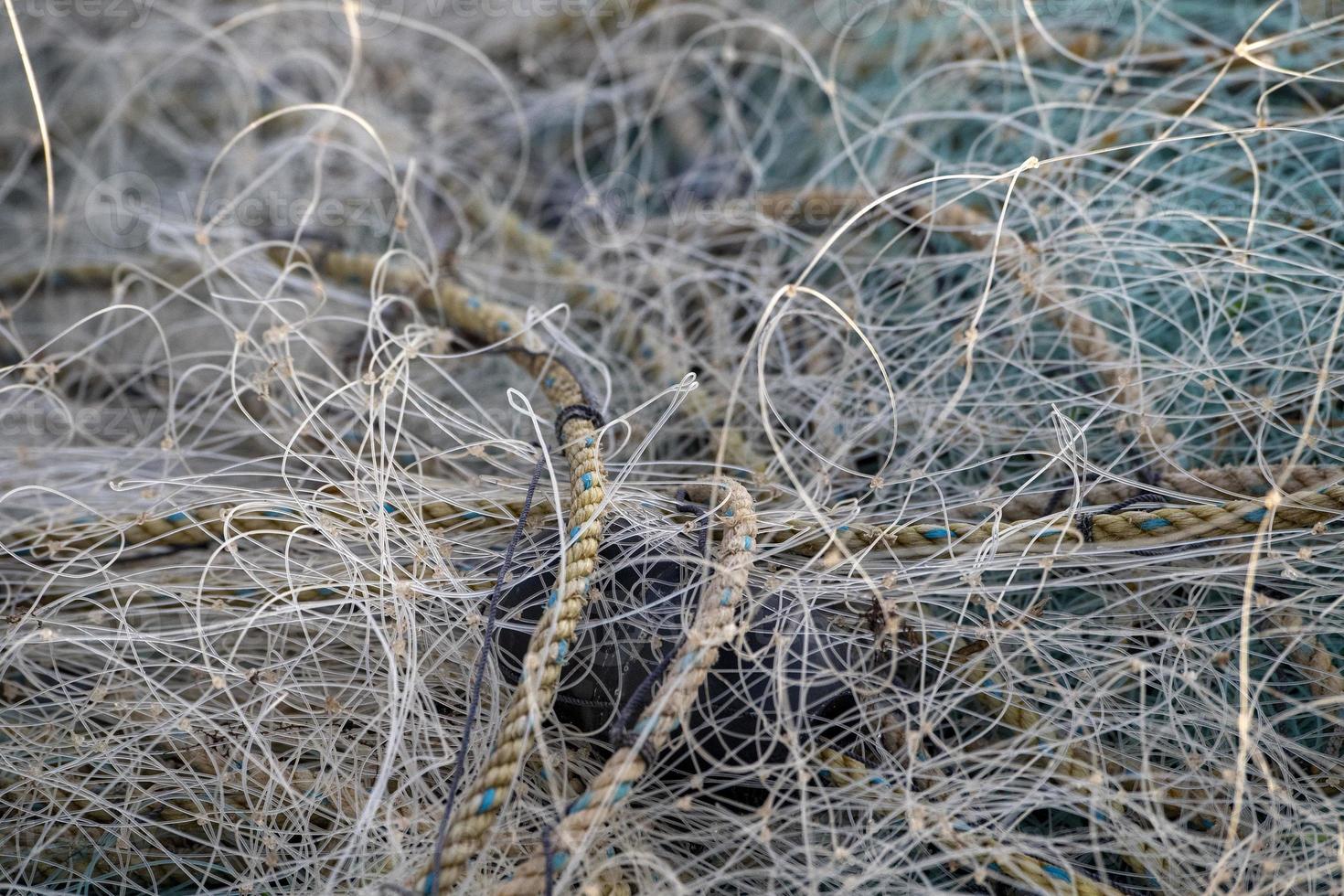 dead bird trapped in fishing net photo