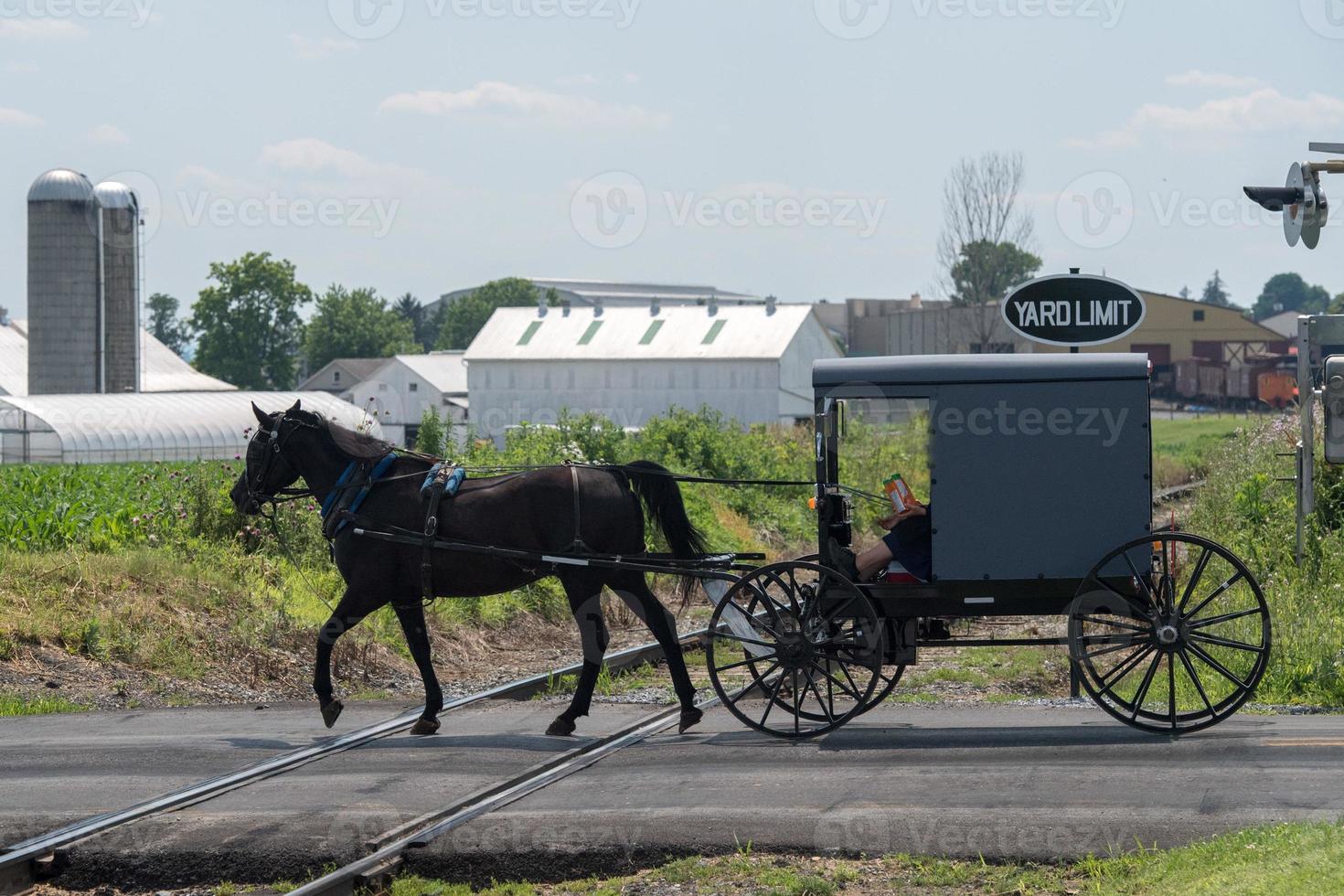 wagon buggy in lancaster pennsylvania amish country photo